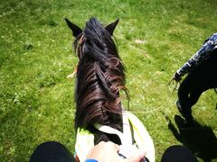 景点-祁连山草原