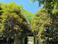 -上海佘山国家森林公园天马山园