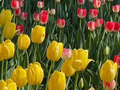 -长春公园(普阳街道)