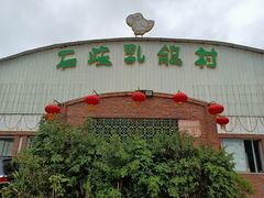 -石岐乳鸽村(桥观坊南四巷店)
