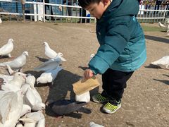 -南通洲际绿博园