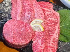 -黄金牧场(明洞总店)