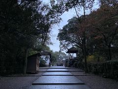 -松鹤楼(狮山永利广场店)