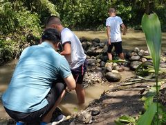 -桤木河湿地公园