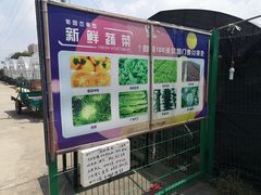-菊园百果园