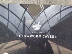 -怀托摩萤火虫洞