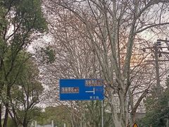 -东湖落雁景区