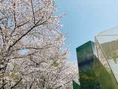 -龙美术馆(西岸馆)