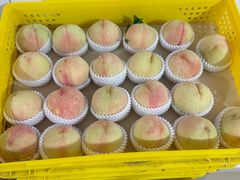 -老袁家蜜桃农场·阳山水蜜桃