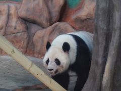 -南宁市动物园