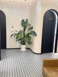 -唐风采假发补发定制