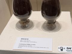 -隋唐大运河文化博物馆