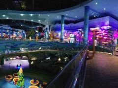 -青岛嘉年华主题乐园