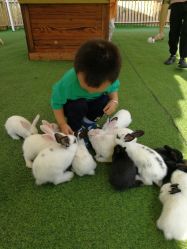 -萌宠亲子动物乐园(槐房万达店)