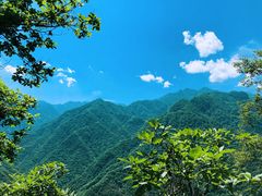 -陕西省红河谷森林公园