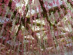 -星巴克(宝山万达店)