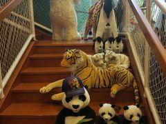 -Behring World of Animals(上海自然博物馆店)