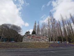 -东平国家森林公园
