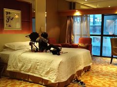 -北京西国贸大酒店