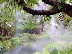 野莓气泡水-Chom Cafe and Restaurant