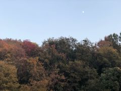 -南京市江宁方山