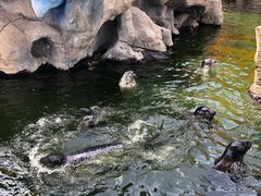 -华夏文旅海洋公园