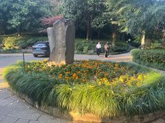 -杭州半山国家森林公园