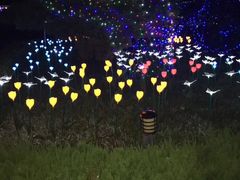 -龙口南山旅游景区