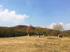 -羊山湖公园