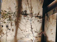 -觀芷隐轩