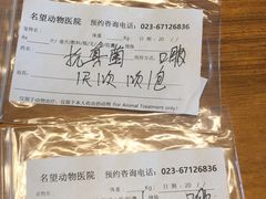 -瑞派名望24h动物医院异宠专科·猫专科·骨科·重症监护分院