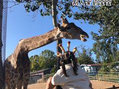 -大连森林动物园