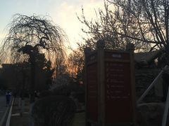 -长春市十一高中