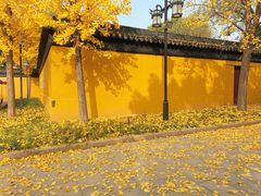 -西园戒幢律寺