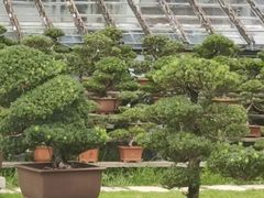 -水绘园