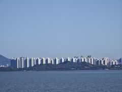 -深圳湾公园(南山区)