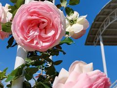 -名花谷生态庄园