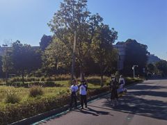 -光明小镇欢乐田园