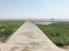 -南汇嘴观海公园