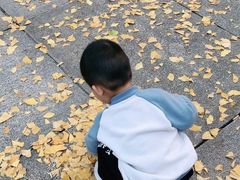 -百林公园-两江幸福广场