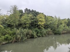 -澹台湖公园