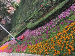 -人民公园(罗湖区)