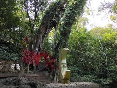 -七仙岭温泉国家森林公园