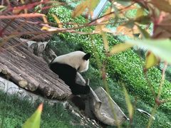 -西安秦岭野生动物园