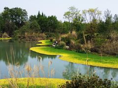 -桤木河湿地公园