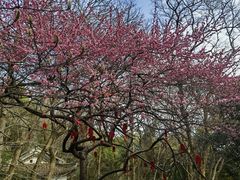 -宁波市保国寺古建筑博物馆