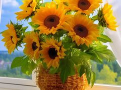 -亭亭鲜花店(中山北路店)