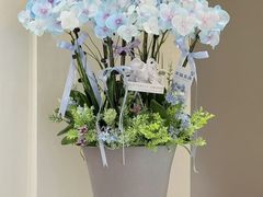 -F.Story 花和故事(新天地店)