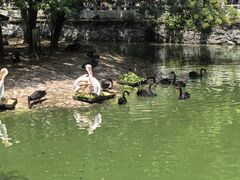-南昌动物园