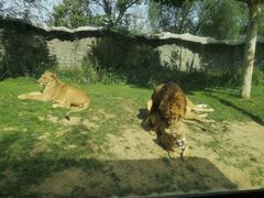 -北京野生动物园